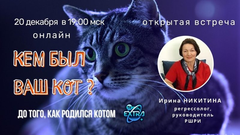 20 декабря 19:00. ОНЛАЙН. Открытая встреча. Ирина НИКИТИНА